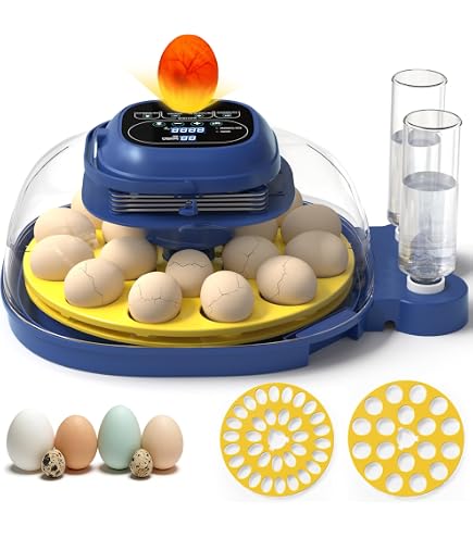 Amazon.com: 18-33 Egg Incubator for Hatching Eggs, Automatic Egg